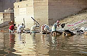 Varanasi - Dhobi Ghat, alive with the sound of dhobi (laundrymen) 